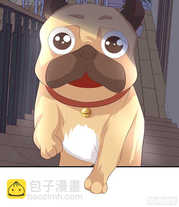 《我家王子是男仆》终于彻底拥有你 第45页