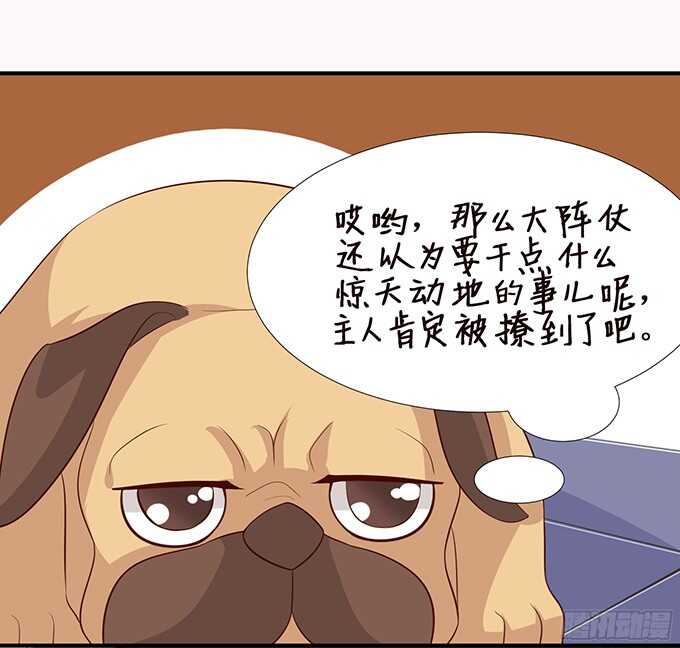 《我家王子是男仆》神秘的客人 第11页