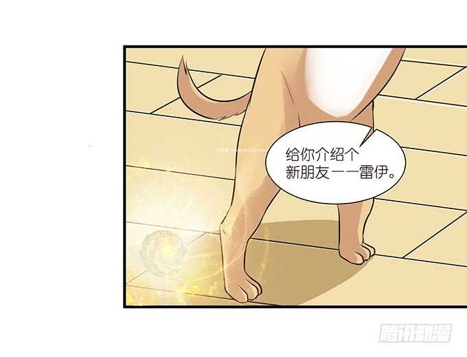 《我家王子是男仆》不是你们想的那样 第31页