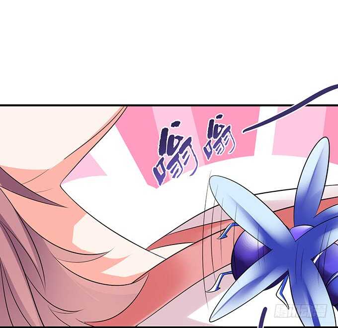 《我家王子是男仆》美男们的正牌之争 第8页