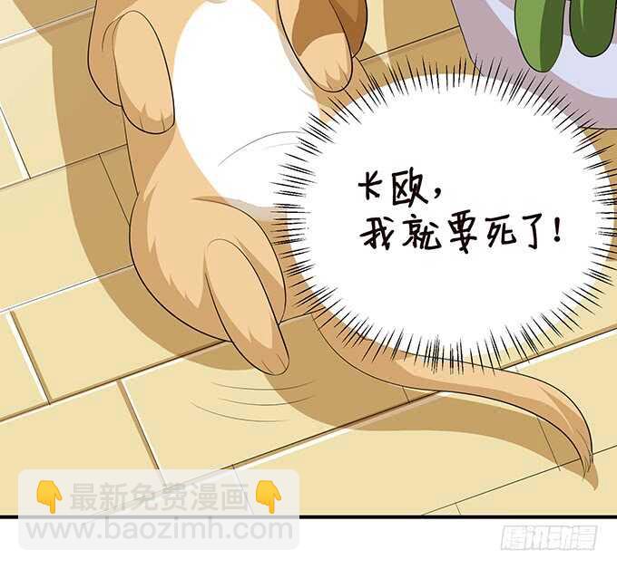 《我家王子是男仆》突如其来的危机 第15页