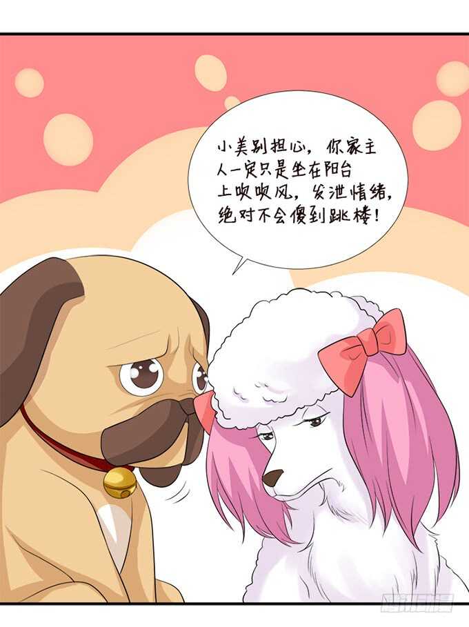 《我家王子是男仆》新男朋友，卡欧？ 第18页