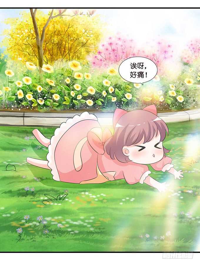 《我家王子是男仆》王子生死线 第45页