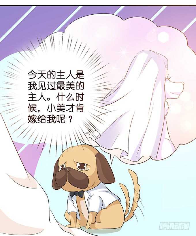 《我家王子是男仆》大结局 第41页