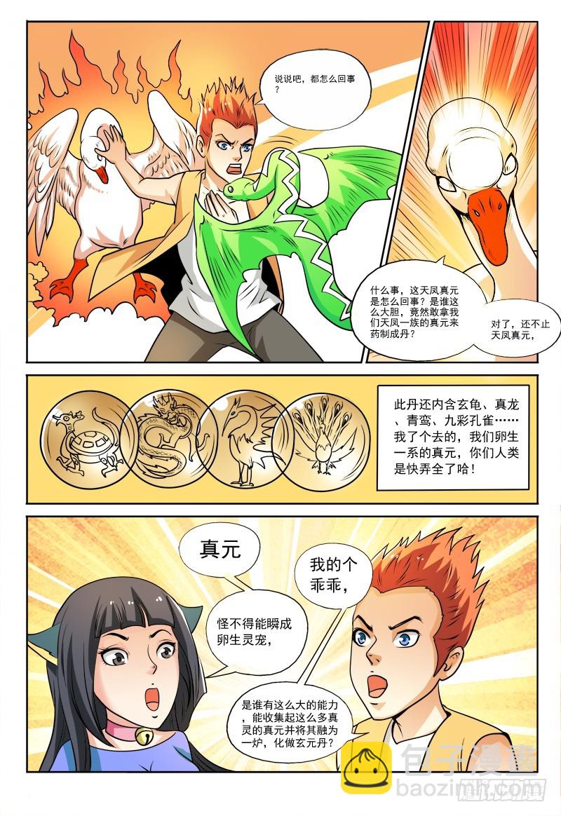 《少年术师端木洪》114 变异雷蛇 第9页