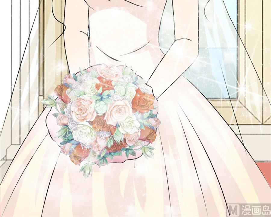 《错嫁替婚BOSS》一个人的婚礼 第26页