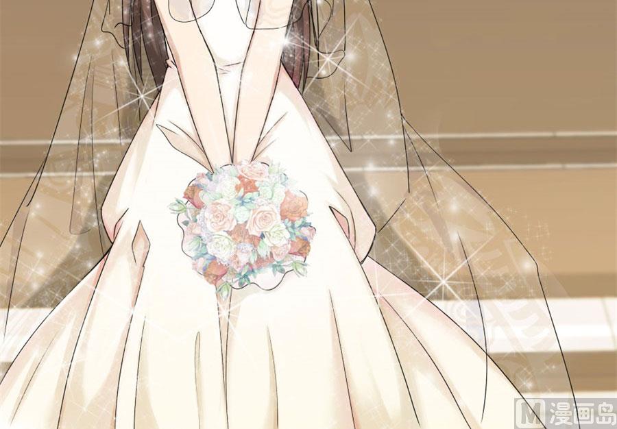 《错嫁替婚BOSS》一个人的婚礼 第33页
