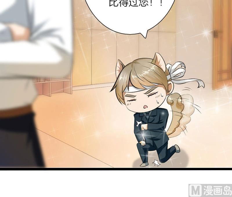 《错嫁替婚BOSS》体恤下属的好总裁 第13页