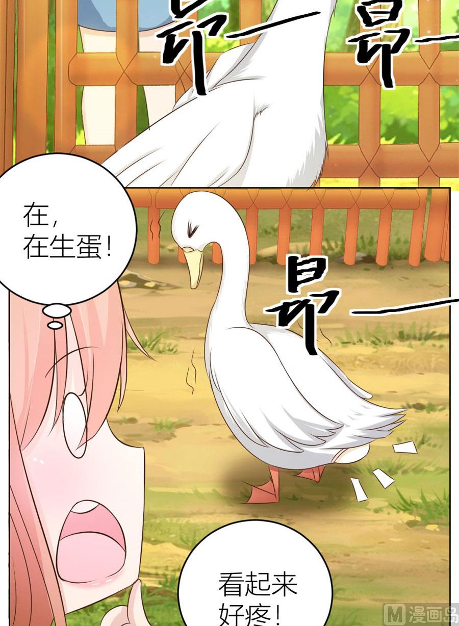 《错嫁替婚BOSS》舍不得下来？ 第17页