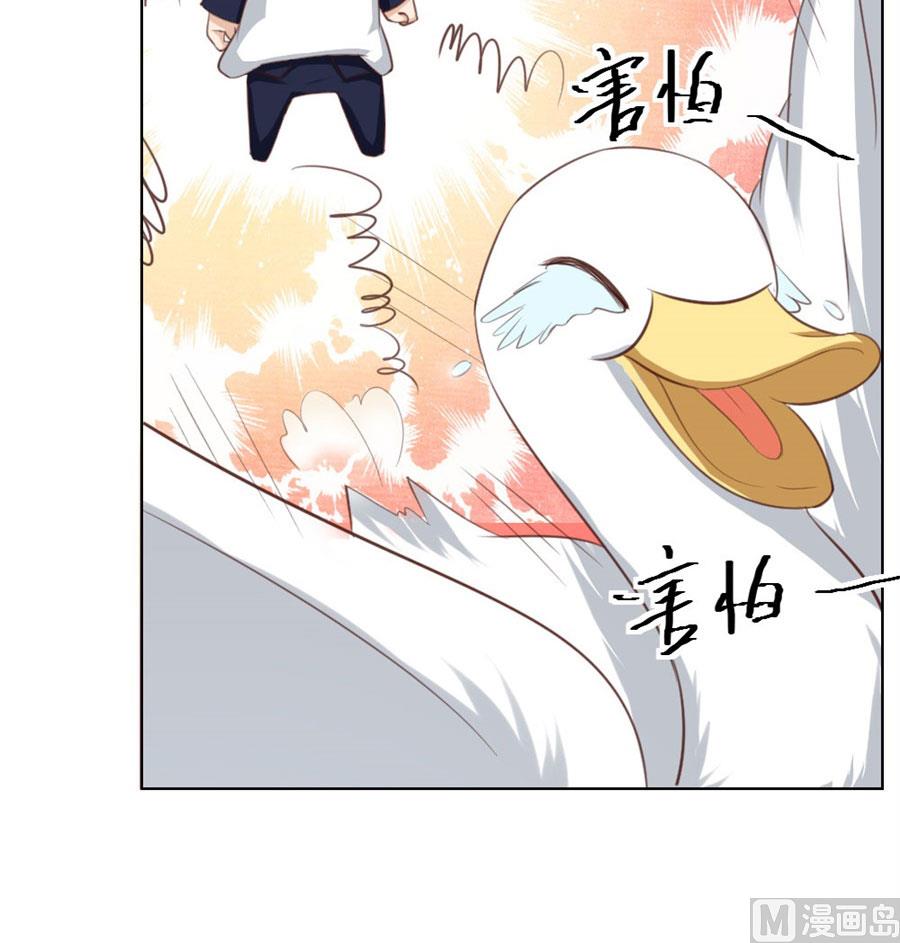 《错嫁替婚BOSS》舍不得下来？ 第36页