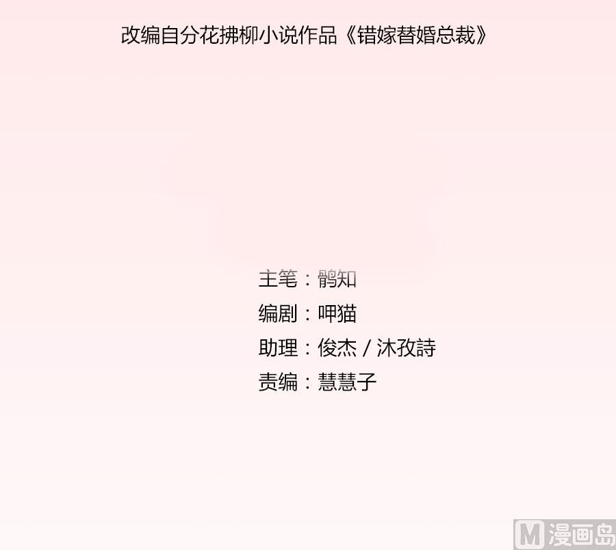 《错嫁替婚BOSS》不能让他知道的事 第2页