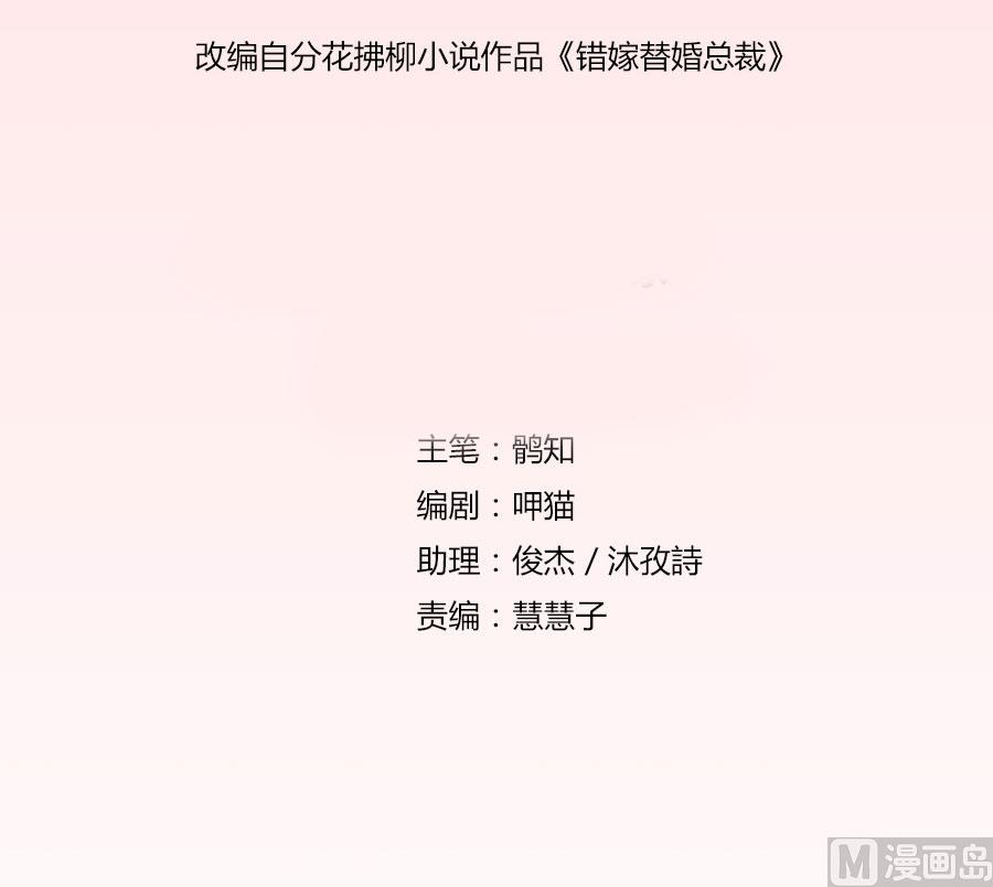 《错嫁替婚BOSS》我的女人我说了算！ 第2页