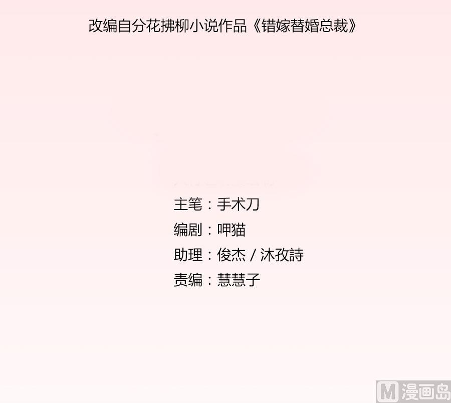 《错嫁替婚BOSS》宠溺于无形 第2页