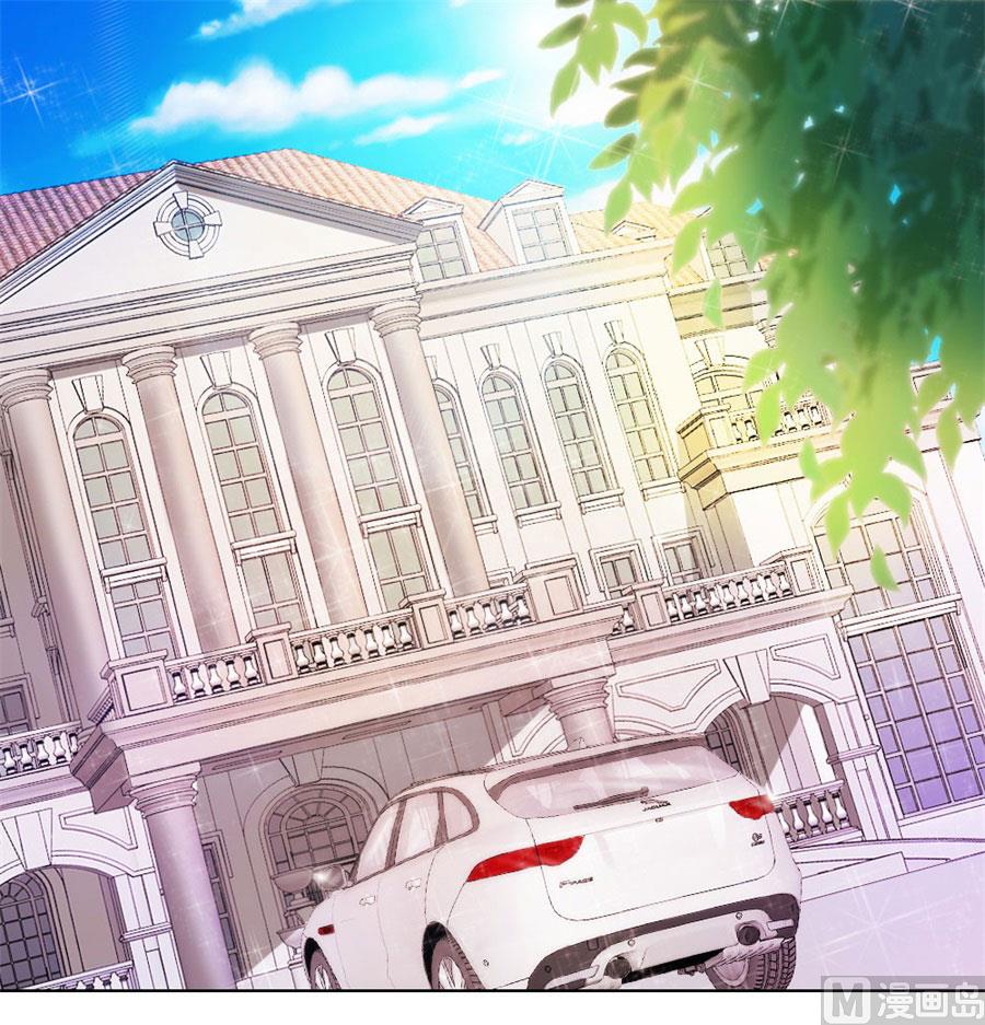 《错嫁替婚BOSS》见哥哥 第29页