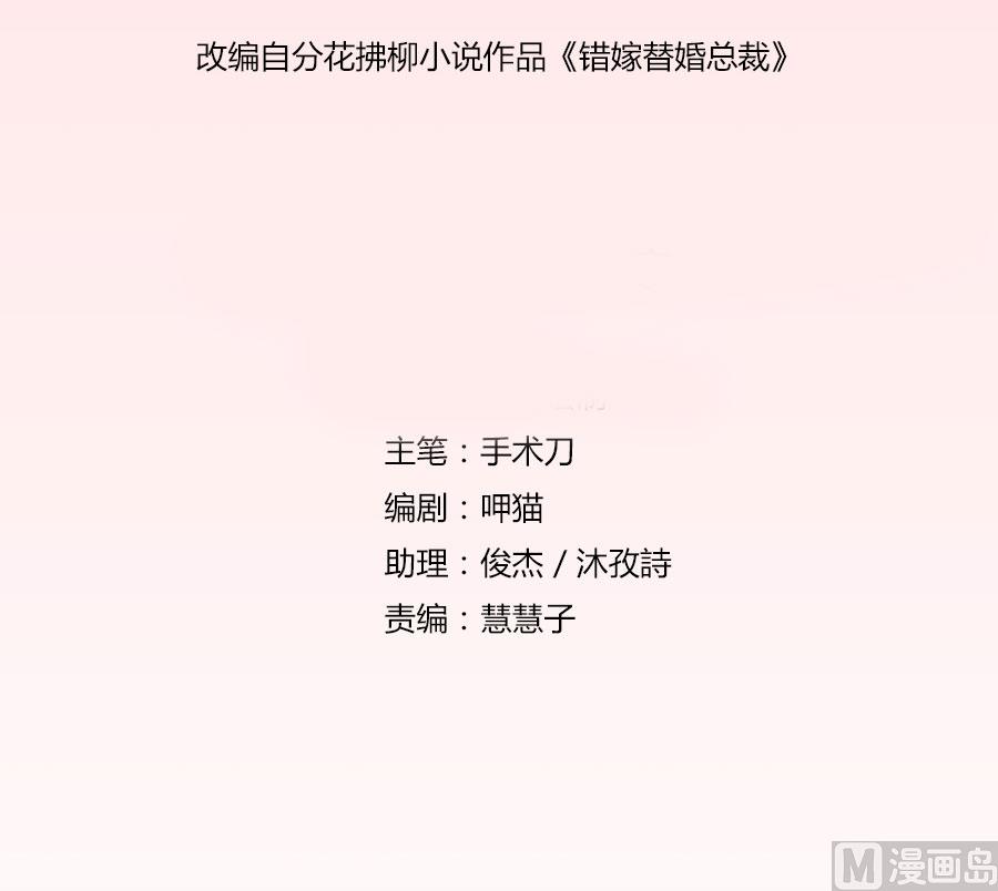 《错嫁替婚BOSS》见哥哥 第2页