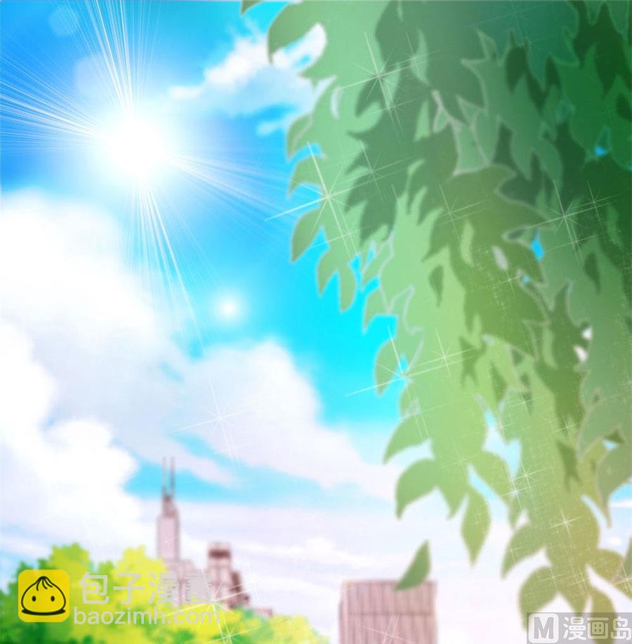 《错嫁替婚BOSS》结婚证 第27页