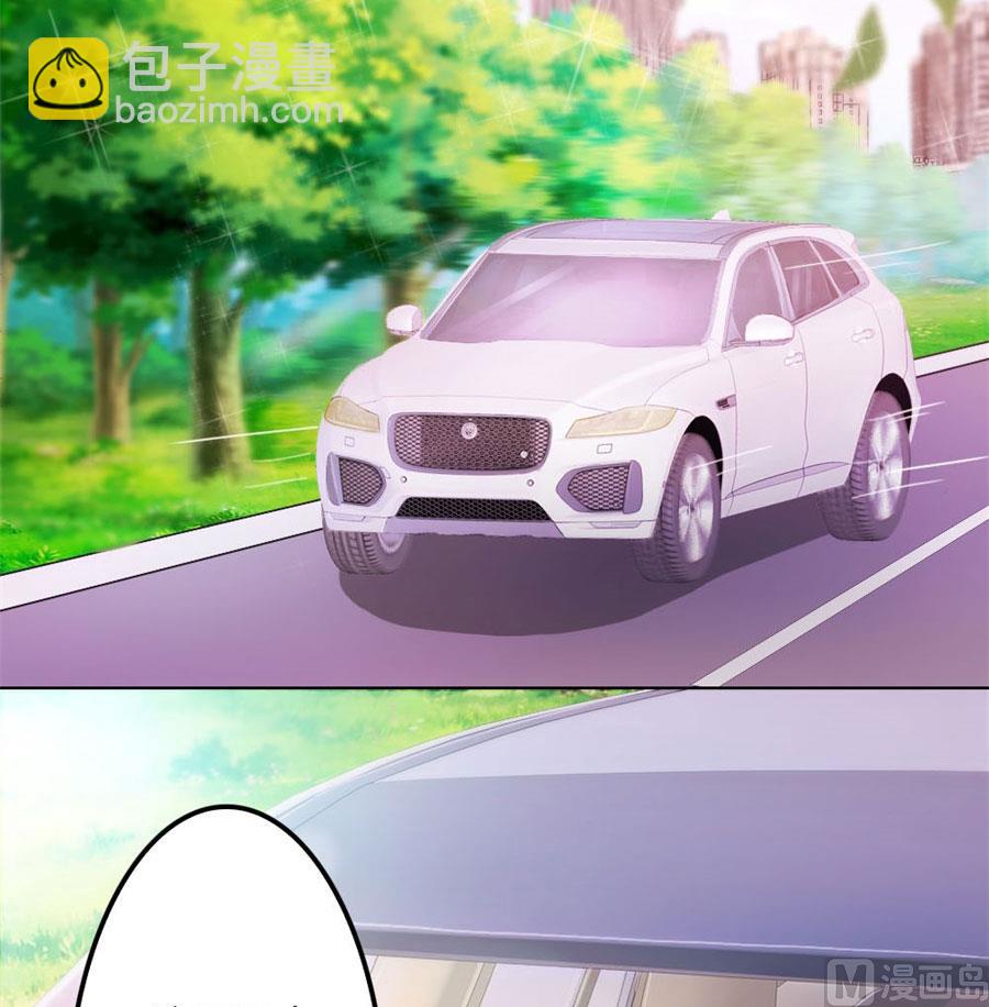 《错嫁替婚BOSS》结婚证 第28页