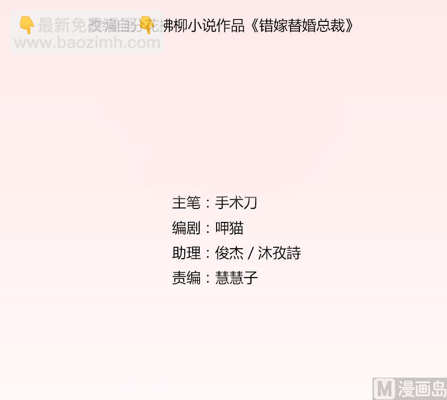 《错嫁替婚BOSS》这只是刚开始 第2页