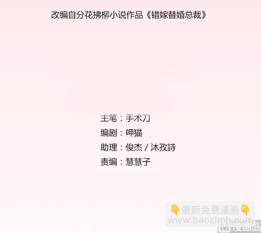 《错嫁替婚BOSS》开启护妻模式 第2页