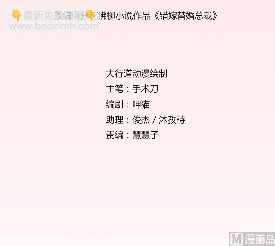 《错嫁替婚BOSS》我是林溪 第2页