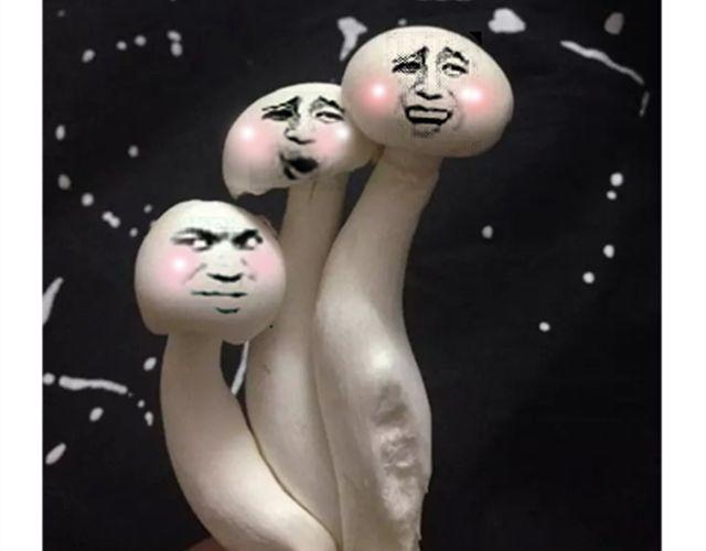 《毁灭宇宙》小熊晚安 第4页
