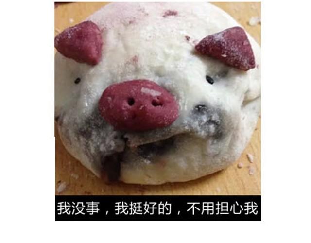 《毁灭宇宙》可爱的小猪豆沙包 第12页