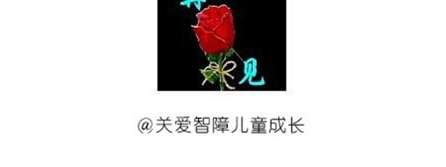 《毁灭宇宙》可爱的小猪豆沙包 第24页