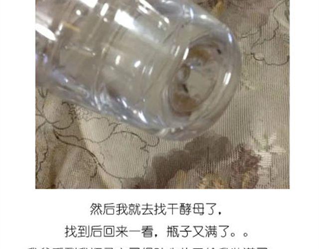 《毁灭宇宙》甜甜圈 第8页