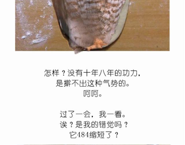 《毁灭宇宙》值得拥有56个赞的中国好面包！ 第15页