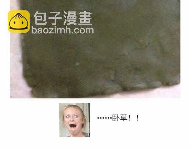 《毁灭宇宙》超级无敌华丽小熊猫饼干精美教程！ 第21页