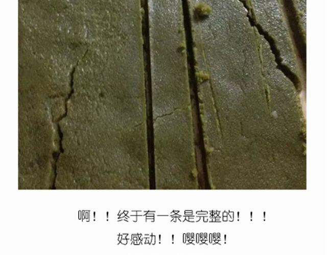 《毁灭宇宙》超级无敌华丽小熊猫饼干精美教程！ 第28页