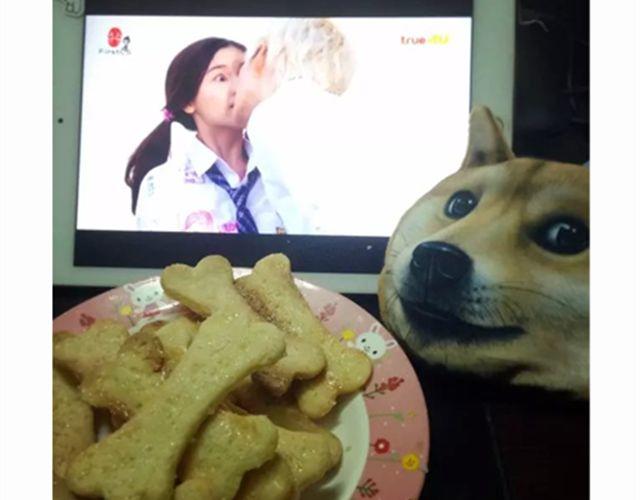 《毁灭宇宙》学做骨头饼干，光棍节不孤单！ 第17页