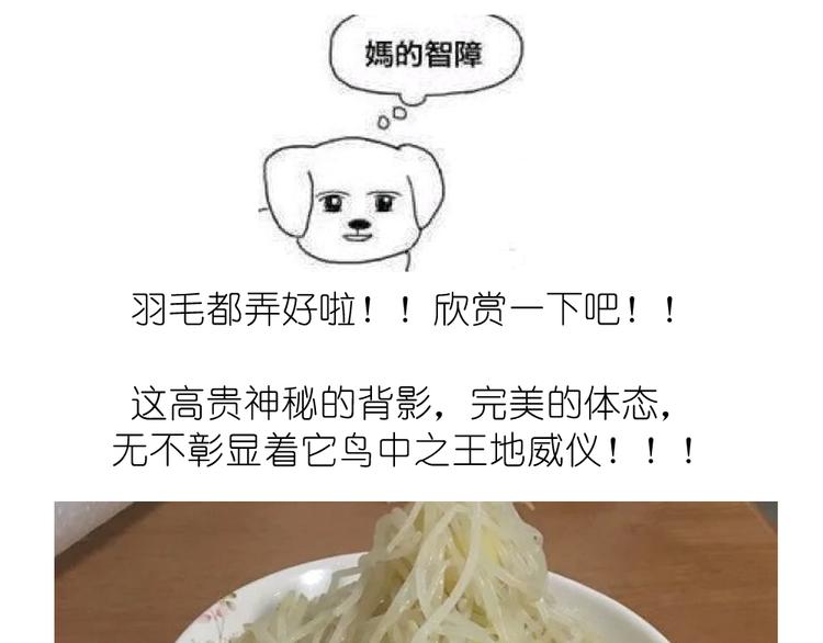 《毁灭宇宙》挑战漫画菜系之凤凰水晶！ 第12页