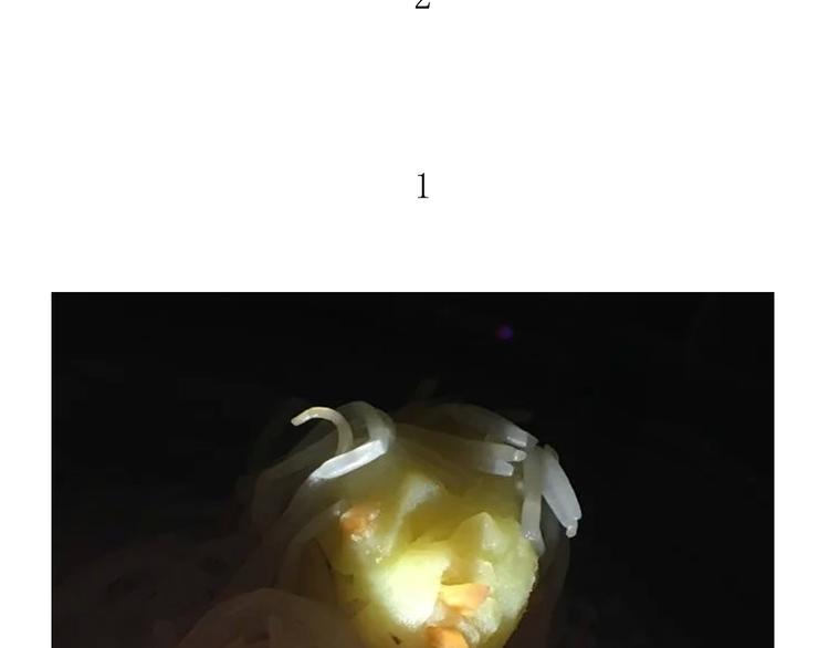 《毁灭宇宙》挑战漫画菜系之凤凰水晶！ 第18页