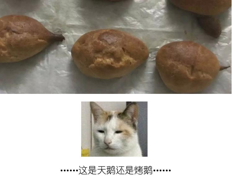 《毁灭宇宙》天鹅泡芙 第30页