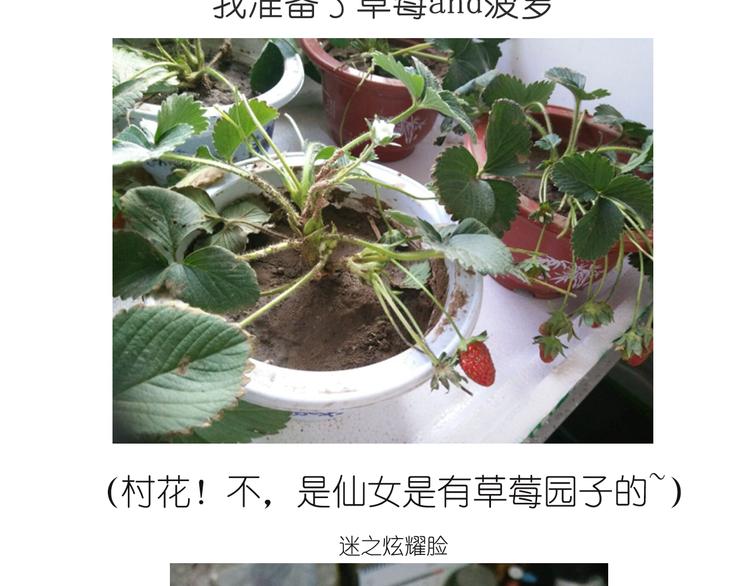 《毁灭宇宙》推推乐 第29页