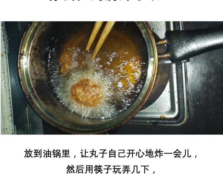 《毁灭宇宙》红烧狮子头 第17页