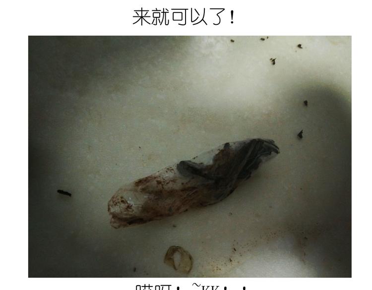 《毁灭宇宙》别样下午茶 第9页