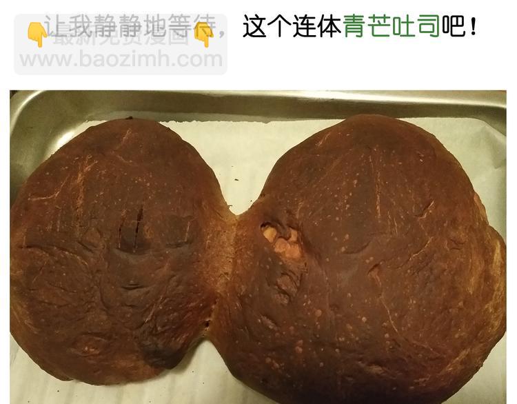 《毁灭宇宙》大吐司 第28页