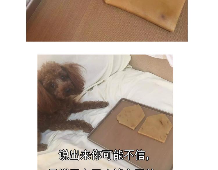 《毁灭宇宙》圣诞小屋 第16页