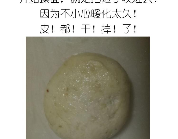 《毁灭宇宙》盗版皮皮虾 第10页