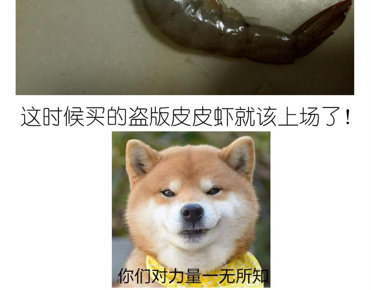 《毁灭宇宙》盗版皮皮虾 第18页