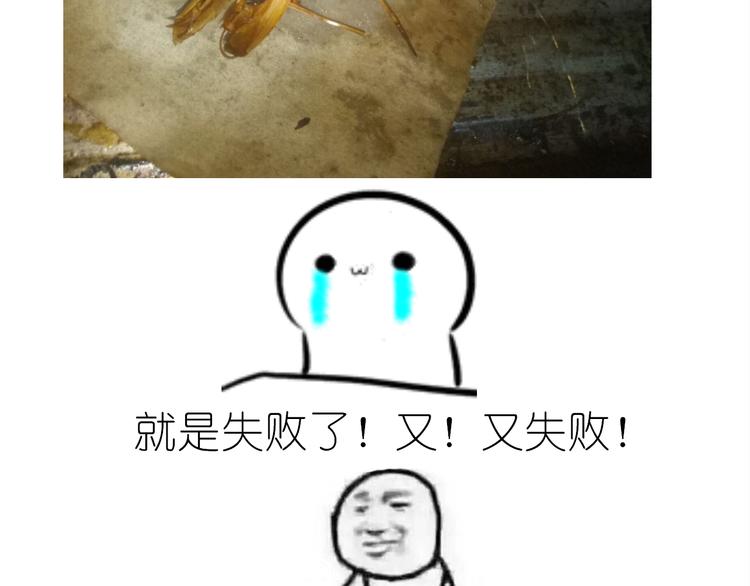 《毁灭宇宙》盗版皮皮虾 第35页