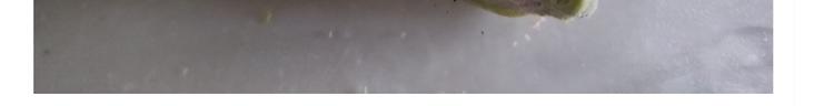 《毁灭宇宙》西瓜包 第42页
