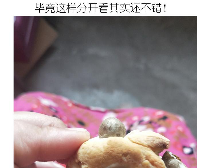 《毁灭宇宙》夹心面包 第23页