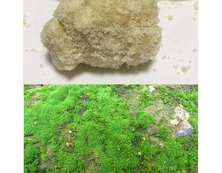 《毁灭宇宙》玻尿酸鸭子 第33页
