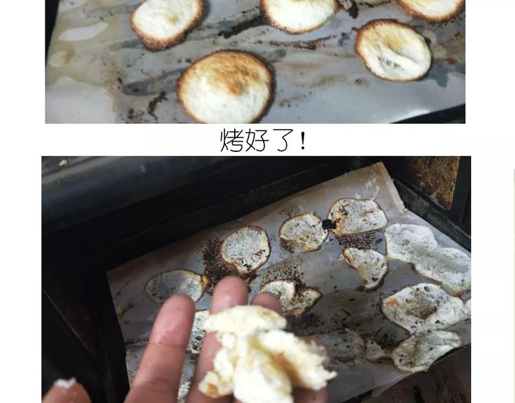 《毁灭宇宙》蛋白糖 第20页