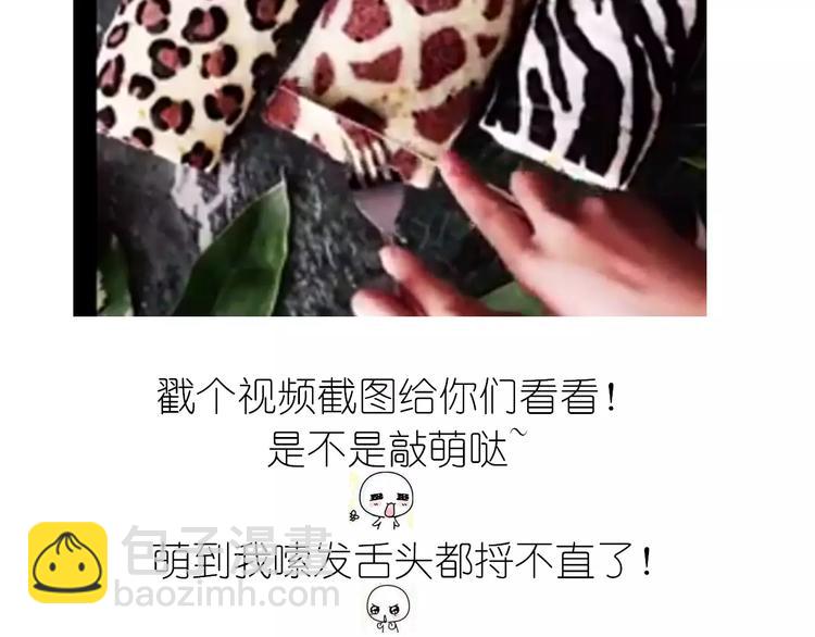 《毁灭宇宙》动物蛋糕卷 第2页