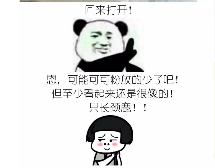 《毁灭宇宙》动物蛋糕卷 第42页
