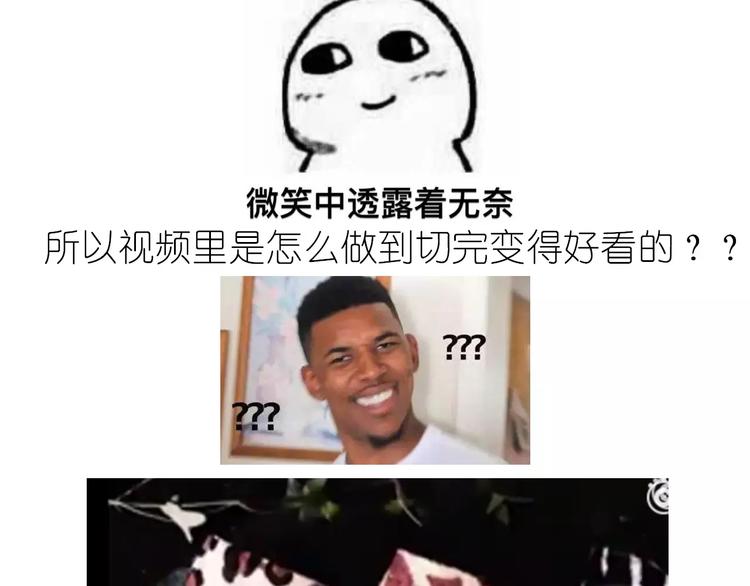 《毁灭宇宙》动物蛋糕卷 第46页